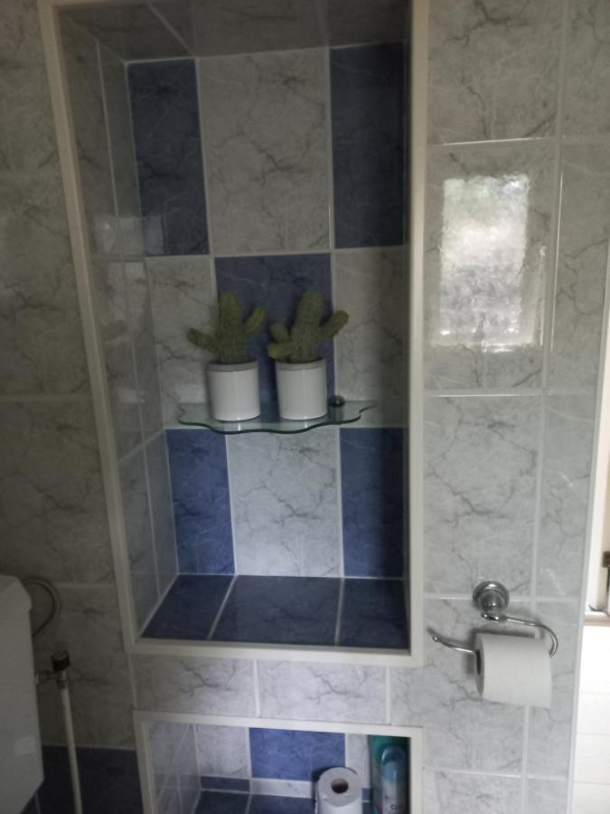 Vogelzang Villa Hattemerbroek Esterno foto